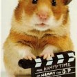 The Panderband - Hammy Cams